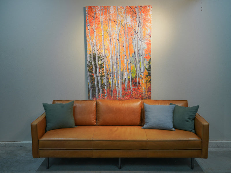 Warehouse Sale 40x60 Chromaluxe Metal Print of "Kindling"